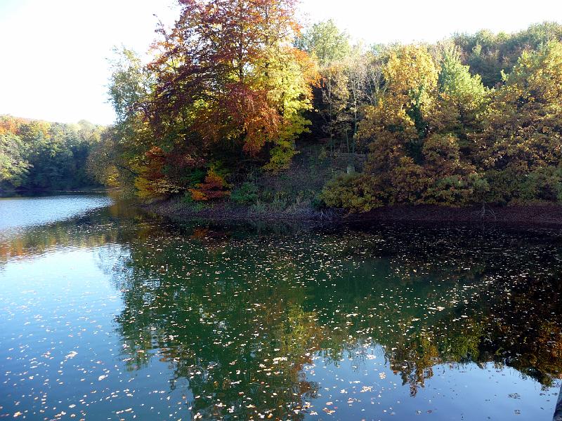 Neyetalsperre Herbst 2008 (21).JPG